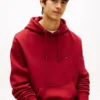 Back Flag Logo Pullover Hoodie Back Flag Logo Pullover Hoodie