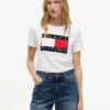 Big Flag Logo T-Shirt