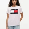 Big Flag Logo T-Shirt