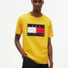 Big Flag Logo T-Shirt Big Flag Logo T-Shirt