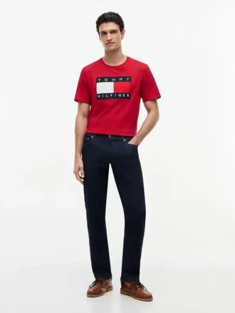 Big Flag Logo T-Shirt