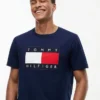 Big Flag Logo T-Shirt Big Flag Logo T-Shirt