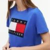 Big Flag Logo T-Shirt