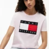 Big Flag Logo T-Shirt
