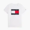 Big Flag Logo T-Shirt