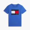 Big Flag Logo T-Shirt