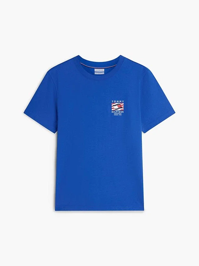 Box Flag Logo T-Shirt Box Flag Logo T-Shirt