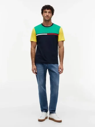 Colorblock Flag Stripe Logo T-Shirt