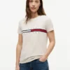 Embroidered Flag Stripe Logo T-Shirt