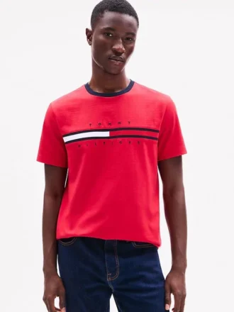 Embroidered Flag Stripe Logo T-Shirt