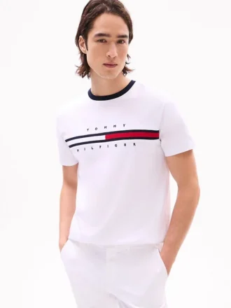 Embroidered Flag Stripe Logo T-Shirt