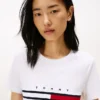 Embroidered Flag Stripe Logo T-Shirt