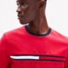 Embroidered Flag Stripe Logo T-Shirt