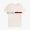 Embroidered Flag Stripe Logo T-Shirt