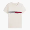 Embroidered Flag Stripe Logo T-Shirt