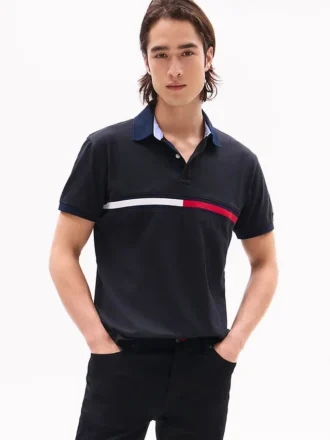 Embroidered Stripe Regular Fit Polo