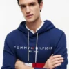 Embroidered Tommy Logo Colorblock Hoodie