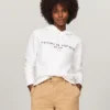 Embroidered Tommy Logo Hoodie