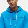 Embroidered Tommy Logo Hoodie