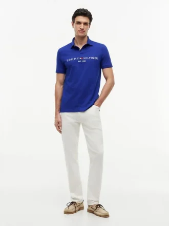 Embroidered Tommy Logo Polo