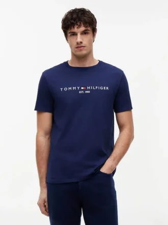 Embroidered Tommy Logo T-Shirt