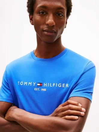 Embroidered Tommy Logo T-Shirt