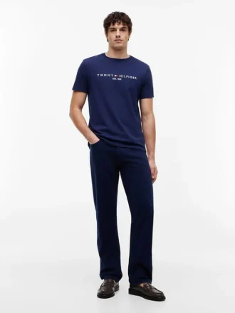 Embroidered Tommy Logo T-Shirt