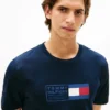Flag Box Logo T-Shirt Flag Box Logo T-Shirt