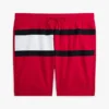 Flag Logo 7″ Swim Trunk