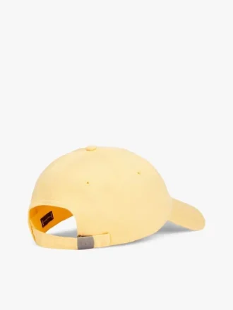 Flag Logo Baseball Cap
