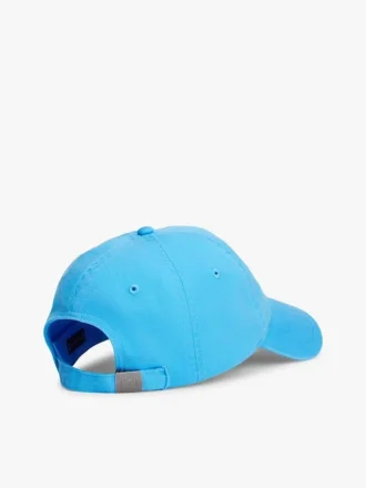 Flag Logo Baseball Cap