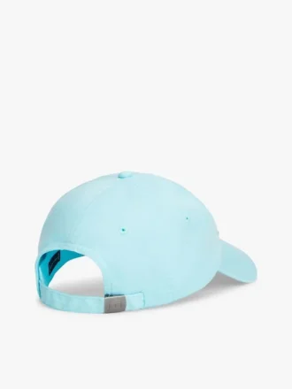 Flag Logo Baseball Cap