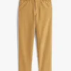 Garment-Dyed Regular Fit Carpenter Pant