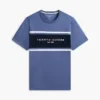 Hilfiger Block Stripe Logo T-Shirt Hilfiger Block Stripe Logo T-Shirt