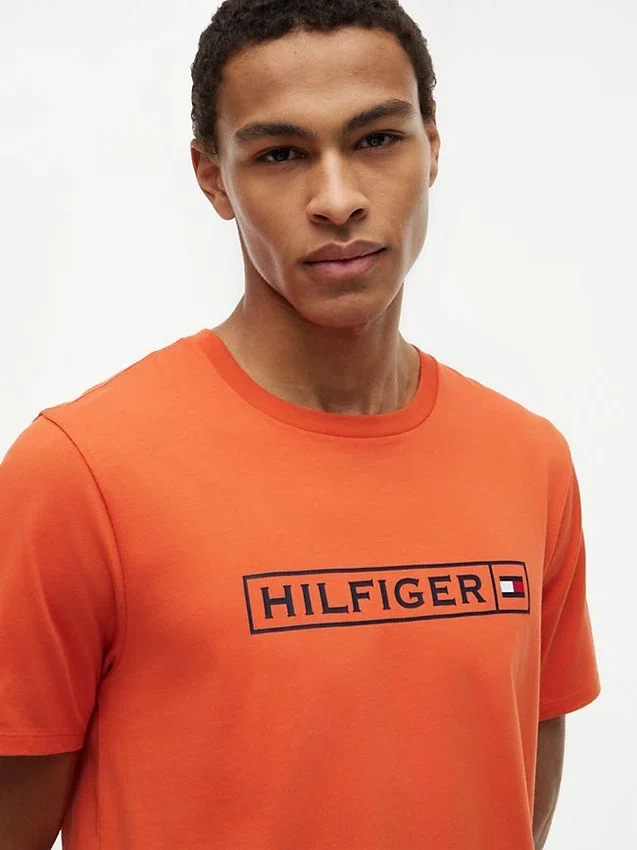 Hilfiger Box Logo T-Shirt Hilfiger Box Logo T-Shirt