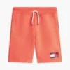 Kids’ Flag Logo Sweatshort