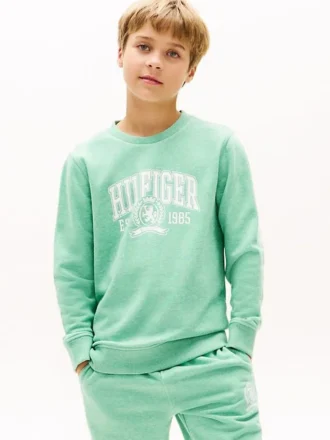 Kids’ Hilfiger 85 Logo Sweatshirt