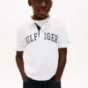 Kids’ Hilfiger Graphic Polo