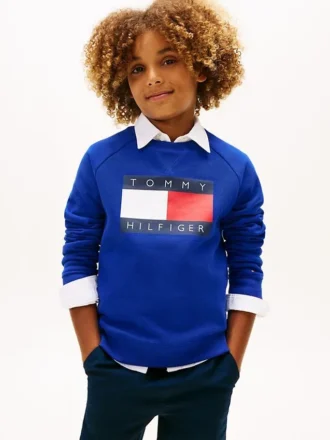 Kids’ Tommy Flag Logo Raglan Sweatshirt