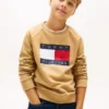 Kids’ Tommy Flag Logo Raglan Sweatshirt Kids’ Tommy Flag Logo Raglan Sweatshirt