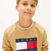 Kids’ Tommy Flag Logo Raglan Sweatshirt Kids’ Tommy Flag Logo Raglan Sweatshirt