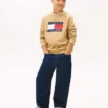 Kids’ Tommy Flag Logo Raglan Sweatshirt Kids’ Tommy Flag Logo Raglan Sweatshirt