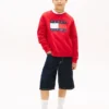 Kids’ Tommy Flag Logo Raglan Sweatshirt Kids’ Tommy Flag Logo Raglan Sweatshirt