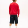 Kids’ Tommy Flag Logo Raglan Sweatshirt Kids’ Tommy Flag Logo Raglan Sweatshirt