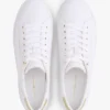 Metallic Accent Canvas Sneaker