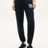 Multicolor Varsity Tommy Logo Sweatpant