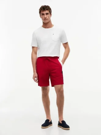 Regular Fit 8″ Flag Colorblock Short