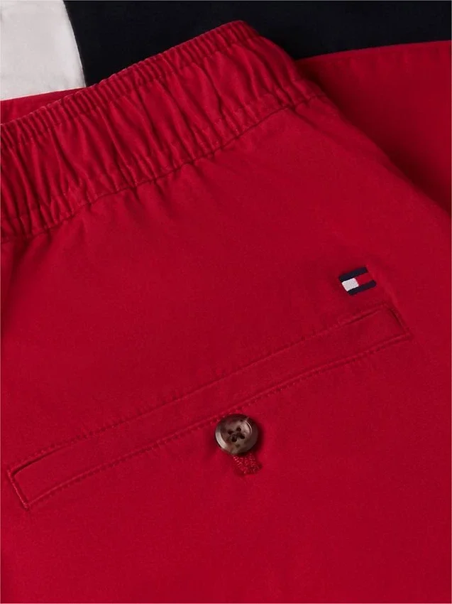 Regular Fit 8″ Flag Colorblock Short Regular Fit 8″ Flag Colorblock Short