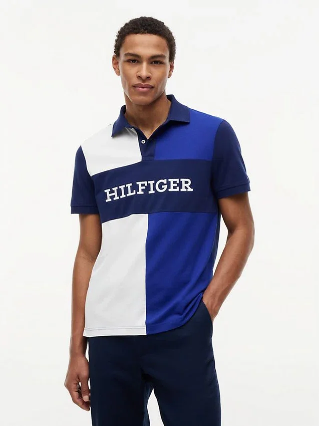 Regular Fit Colorblock Polo Regular Fit Colorblock Polo