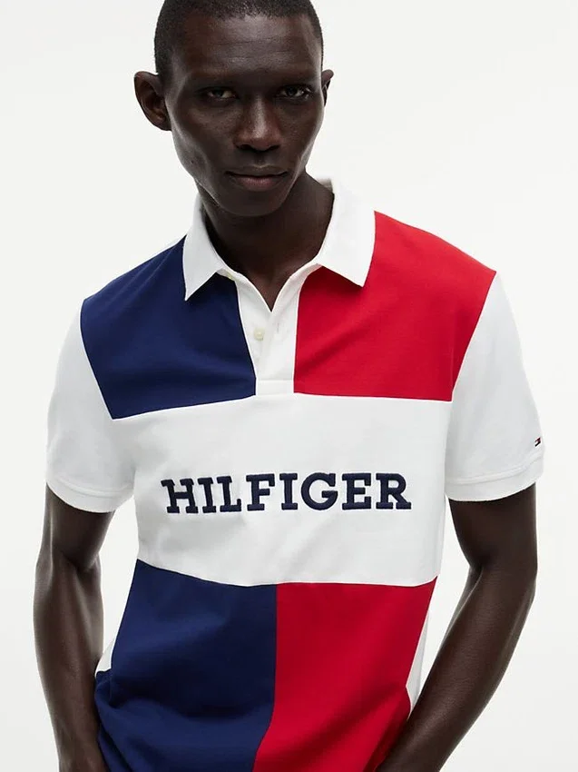 Regular Fit Colorblock Polo Regular Fit Colorblock Polo